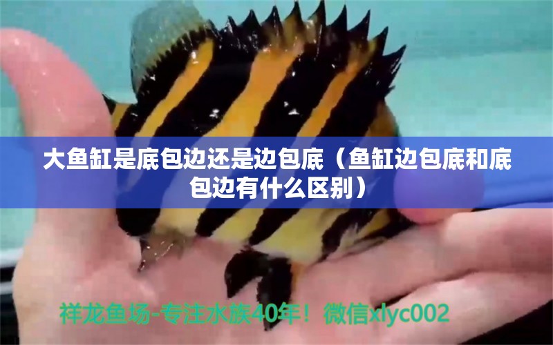 大魚缸是底包邊還是邊包底（魚缸邊包底和底包邊有什么區(qū)別）