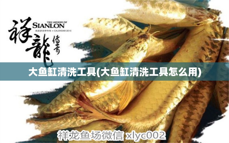 大魚(yú)缸清洗工具(大魚(yú)缸清洗工具怎么用) 錦鯉魚(yú)