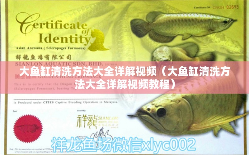 大魚缸清洗方法大全詳解視頻（大魚缸清洗方法大全詳解視頻教程）