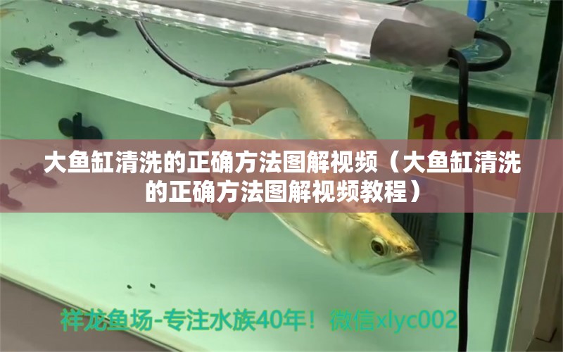 大魚缸清洗的正確方法圖解視頻（大魚缸清洗的正確方法圖解視頻教程） 觀賞魚市場（混養(yǎng)魚）