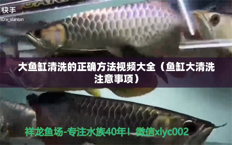 大魚缸清洗的正確方法視頻大全（魚缸大清洗注意事項）