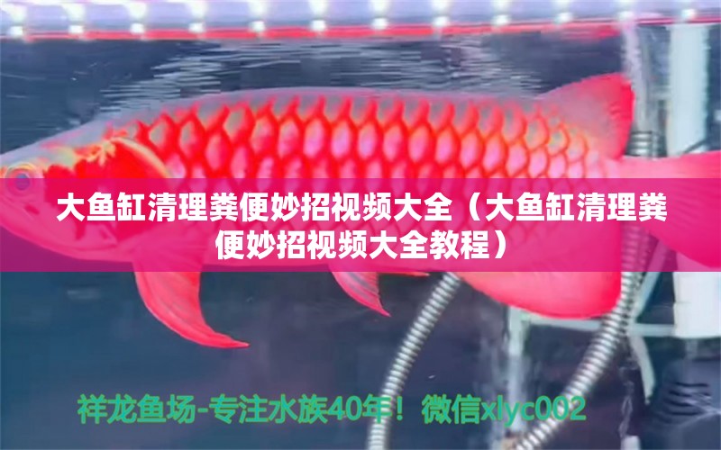 大魚缸清理糞便妙招視頻大全（大魚缸清理糞便妙招視頻大全教程）