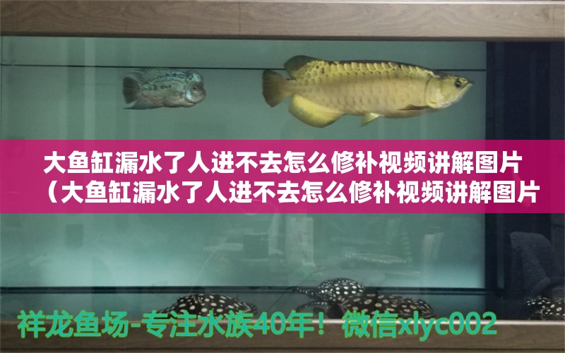 大魚缸漏水了人進不去怎么修補視頻講解圖片（大魚缸漏水了人進不去怎么修補視頻講解圖片大全）