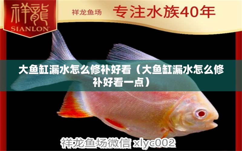 大魚缸漏水怎么修補好看（大魚缸漏水怎么修補好看一點） 白化火箭