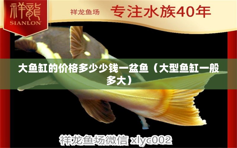 大魚缸的價格多少少錢一盆魚（大型魚缸一般多大） 孵化器