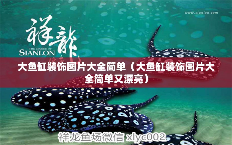 大魚缸裝飾圖片大全簡(jiǎn)單（大魚缸裝飾圖片大全簡(jiǎn)單又漂亮） 祥龍水族醫(yī)院