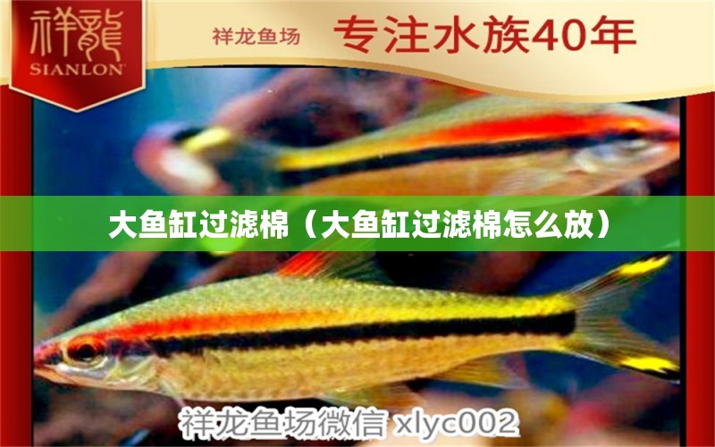 大魚缸過濾棉（大魚缸過濾棉怎么放）