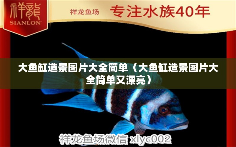 大魚缸造景圖片大全簡(jiǎn)單（大魚缸造景圖片大全簡(jiǎn)單又漂亮） 魚缸百科