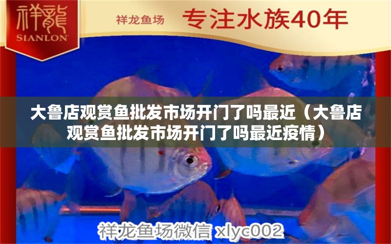 大魯?shù)暧^賞魚批發(fā)市場開門了嗎最近（大魯?shù)暧^賞魚批發(fā)市場開門了嗎最近疫情）