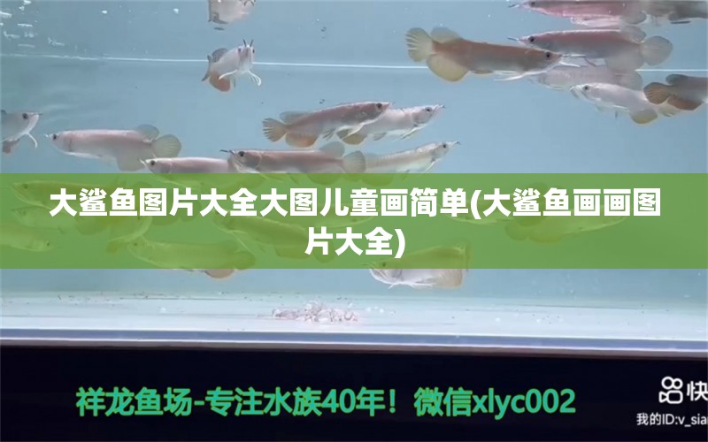 大鯊魚圖片大全大圖兒童畫簡單(大鯊魚畫畫圖片大全)