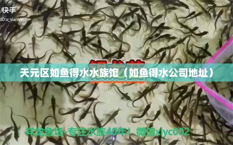 天元區(qū)如魚得水水族館（如魚得水公司地址）