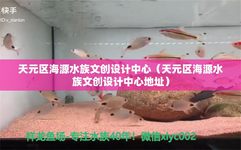 天元區(qū)海源水族文創(chuàng)設(shè)計中心（天元區(qū)海源水族文創(chuàng)設(shè)計中心地址） 全國水族館企業(yè)名錄