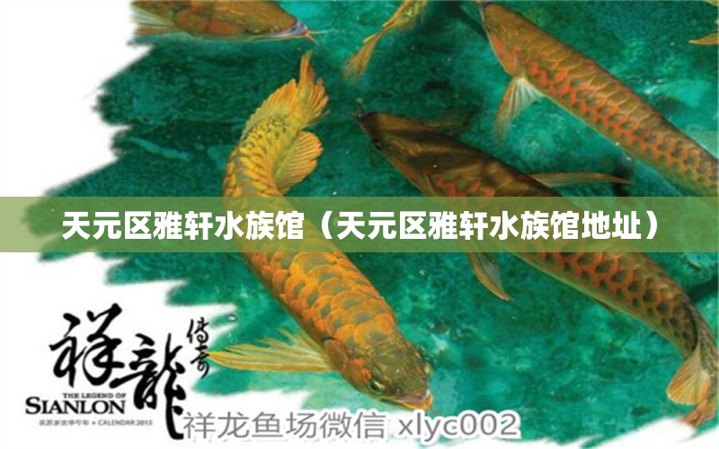 天元區(qū)雅軒水族館（天元區(qū)雅軒水族館地址）