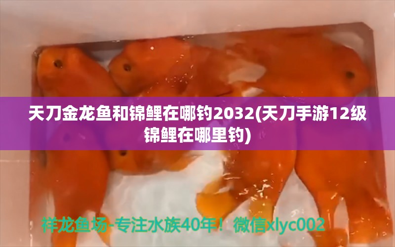 天刀金龍魚(yú)和錦鯉在哪釣2032(天刀手游12級(jí)錦鯉在哪里釣) 垂釣樂(lè)園