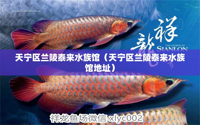 天寧區(qū)蘭陵泰來水族館（天寧區(qū)蘭陵泰來水族館地址）