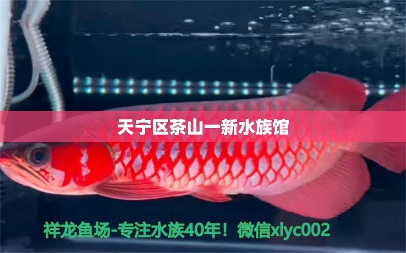 天寧區(qū)茶山一新水族館