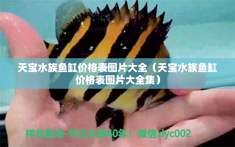 天寶水族魚(yú)缸價(jià)格表圖片大全（天寶水族魚(yú)缸價(jià)格表圖片大全集）