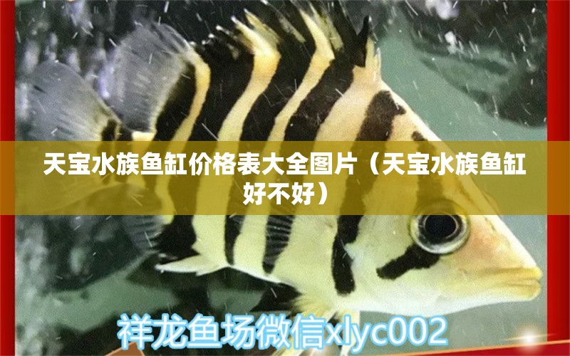 天寶水族魚(yú)缸價(jià)格表大全圖片（天寶水族魚(yú)缸好不好）