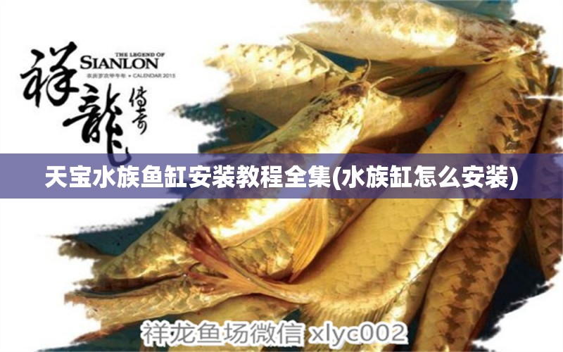 天寶水族魚缸安裝教程全集(水族缸怎么安裝) 觀賞魚市場(chǎng)（混養(yǎng)魚）