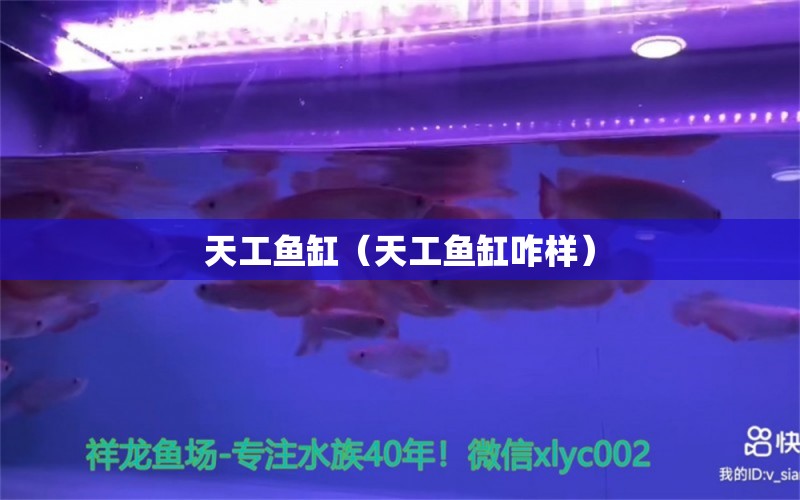 天工魚缸（天工魚缸咋樣） 廣州龍魚批發(fā)市場