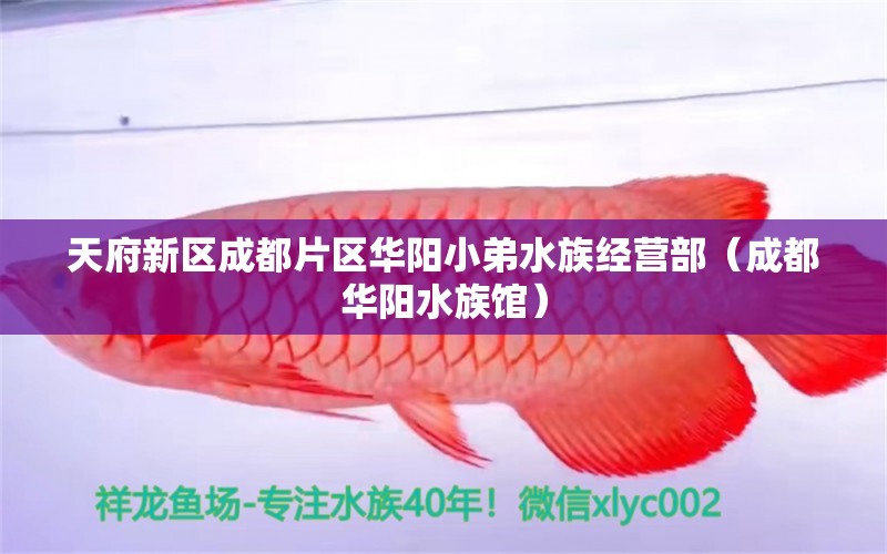 天府新區(qū)成都片區(qū)華陽小弟水族經(jīng)營部（成都華陽水族館）