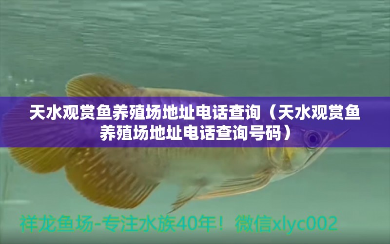 天水觀賞魚養(yǎng)殖場地址電話查詢（天水觀賞魚養(yǎng)殖場地址電話查詢號碼） 祥龍水族醫(yī)院