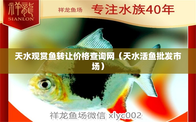 天水觀賞魚(yú)轉(zhuǎn)讓價(jià)格查詢網(wǎng)（天水活魚(yú)批發(fā)市場(chǎng)）