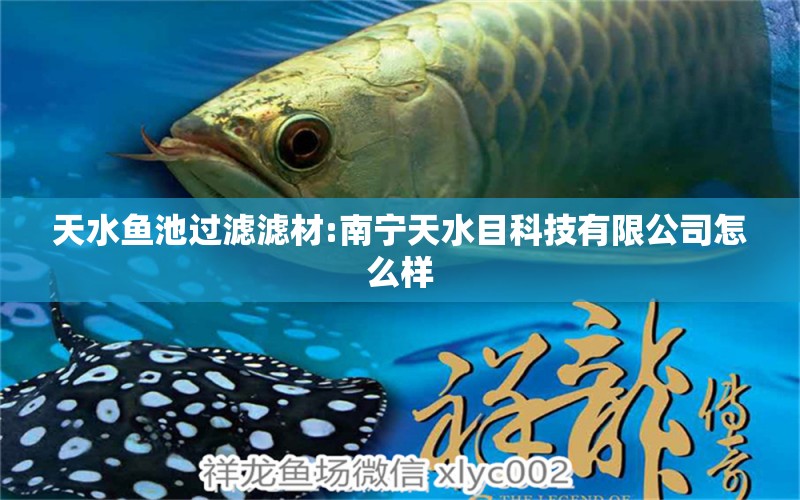 天水魚池過(guò)濾濾材:南寧天水目科技有限公司怎么樣 廣州水族器材濾材批發(fā)市場(chǎng)