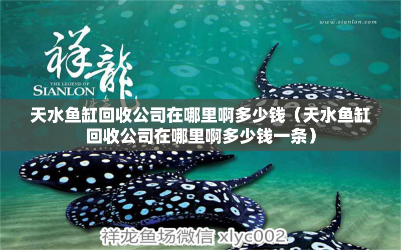 天水魚(yú)缸回收公司在哪里啊多少錢（天水魚(yú)缸回收公司在哪里啊多少錢一條）