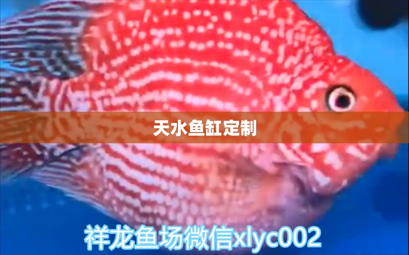 天水魚缸定制 其他品牌魚缸