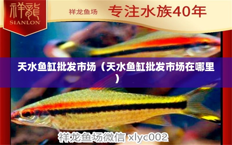 天水魚(yú)缸批發(fā)市場(chǎng)（天水魚(yú)缸批發(fā)市場(chǎng)在哪里） 觀賞魚(yú)水族批發(fā)市場(chǎng)