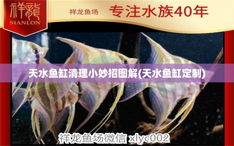 天水魚缸清理小妙招圖解(天水魚缸定制) 金龍福龍魚