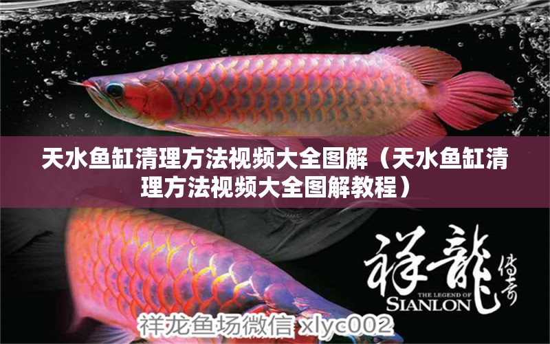 天水魚缸清理方法視頻大全圖解（天水魚缸清理方法視頻大全圖解教程） 觀賞魚市場（混養(yǎng)魚）