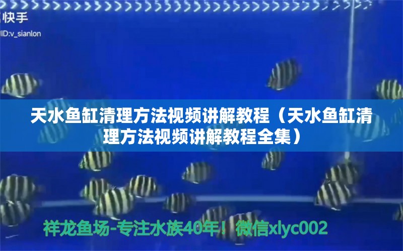 天水魚缸清理方法視頻講解教程（天水魚缸清理方法視頻講解教程全集）