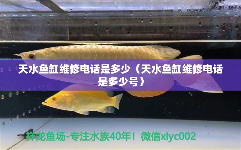 天水魚缸維修電話是多少（天水魚缸維修電話是多少號(hào)） 祥龍水族醫(yī)院