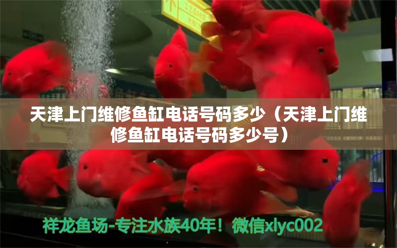 天津上門維修魚缸電話號(hào)碼多少（天津上門維修魚缸電話號(hào)碼多少號(hào)）