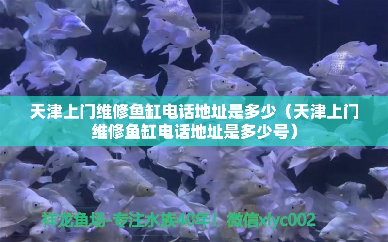 天津上門維修魚缸電話地址是多少（天津上門維修魚缸電話地址是多少號）