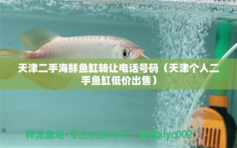 天津二手海鮮魚(yú)缸轉(zhuǎn)讓電話號(hào)碼（天津個(gè)人二手魚(yú)缸低價(jià)出售） 觀賞魚(yú)批發(fā)