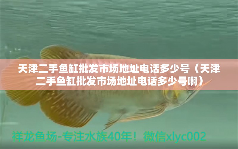 天津二手魚缸批發(fā)市場地址電話多少號（天津二手魚缸批發(fā)市場地址電話多少號?。?祥龍水族醫(yī)院