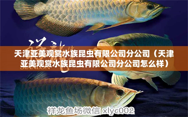 天津亞美觀賞水族昆蟲有限公司分公司（天津亞美觀賞水族昆蟲有限公司分公司怎么樣） 全國水族館企業(yè)名錄