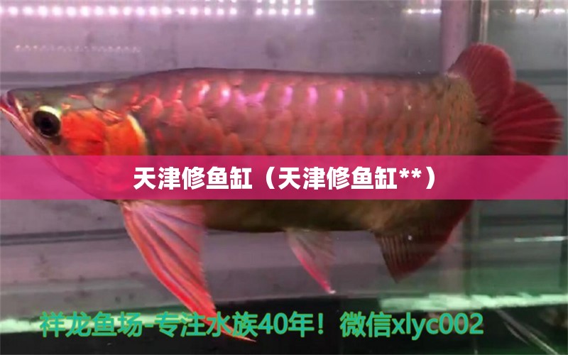 天津修魚缸（天津修魚缸**）