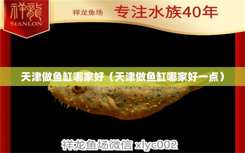 天津做魚缸哪家好（天津做魚缸哪家好一點）