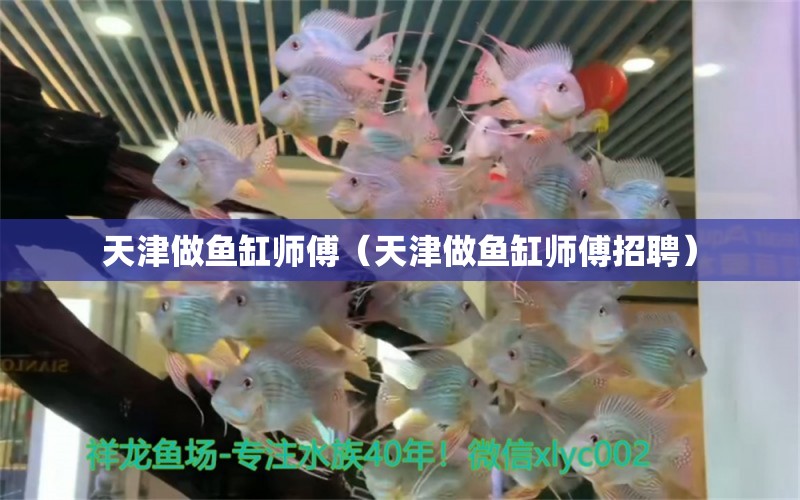 天津做魚缸師傅（天津做魚缸師傅招聘） 其他品牌魚缸