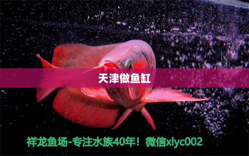 天津做魚缸