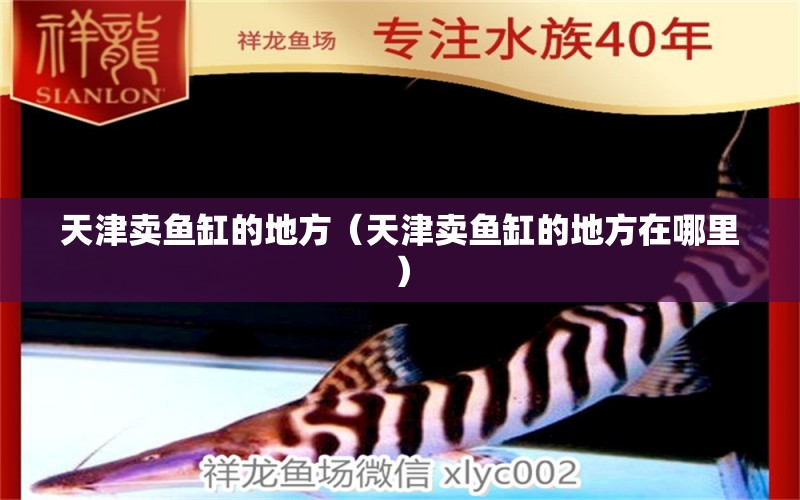 天津賣魚缸的地方（天津賣魚缸的地方在哪里） 其他品牌魚缸