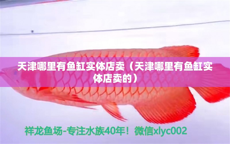 天津哪里有魚缸實(shí)體店賣（天津哪里有魚缸實(shí)體店賣的） 其他品牌魚缸