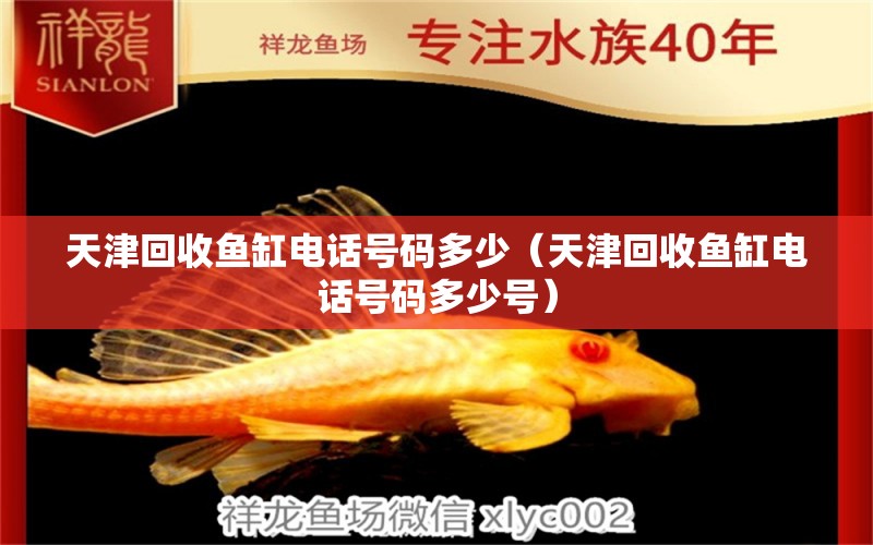 天津回收魚缸電話號碼多少（天津回收魚缸電話號碼多少號）