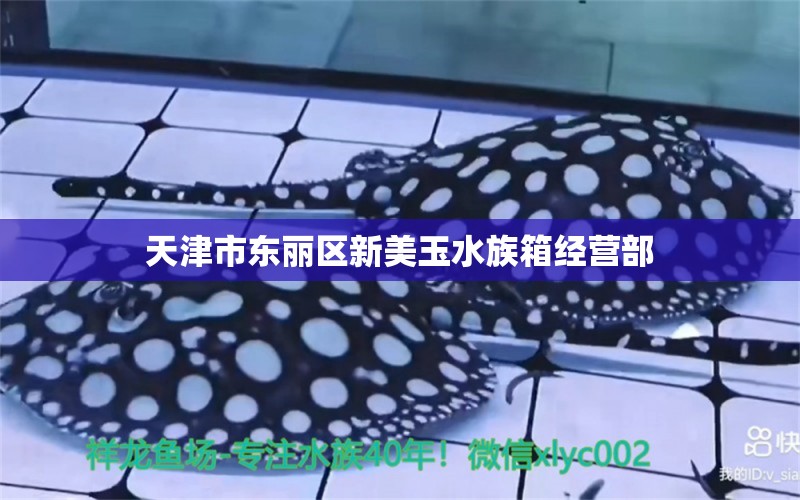 天津市東麗區(qū)新美玉水族箱經(jīng)營(yíng)部 魚缸/水族箱