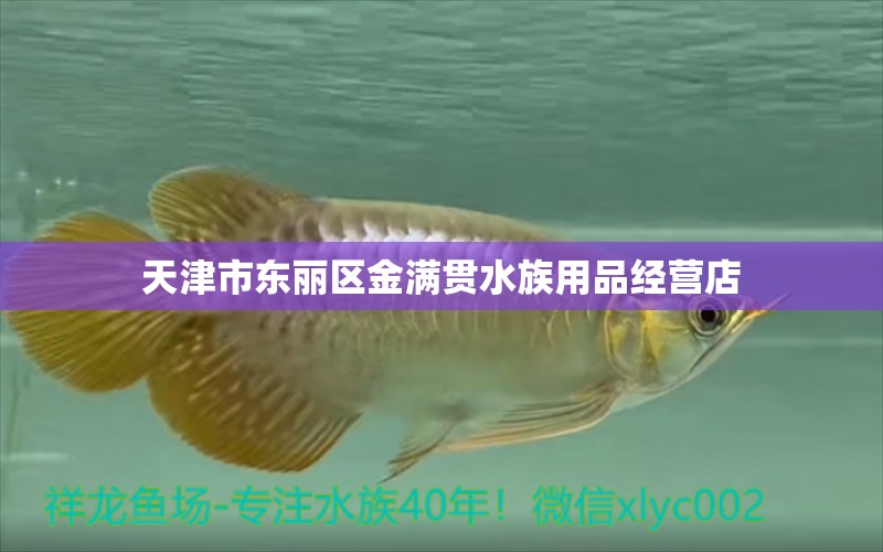 天津市東麗區(qū)金滿(mǎn)貫水族用品經(jīng)營(yíng)店 水族用品