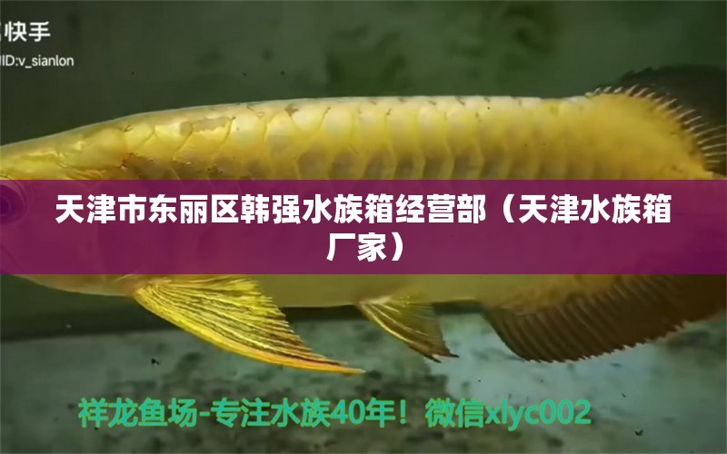 天津市東麗區(qū)韓強水族箱經(jīng)營部（天津水族箱廠家） 魚缸/水族箱